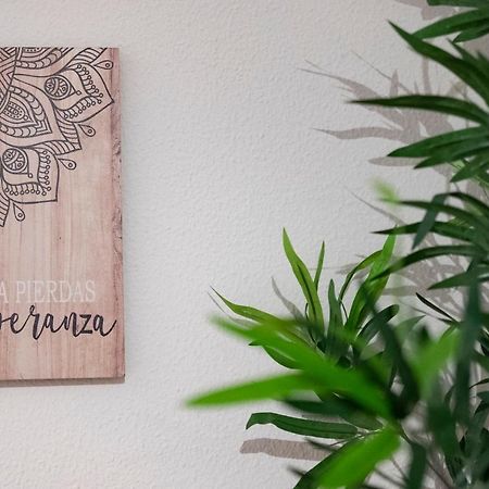 Apartmán La Casina De Leo Y Mia - Centro De Gijon 6P - Wifi - Vut-3398-As Exteriér fotografie