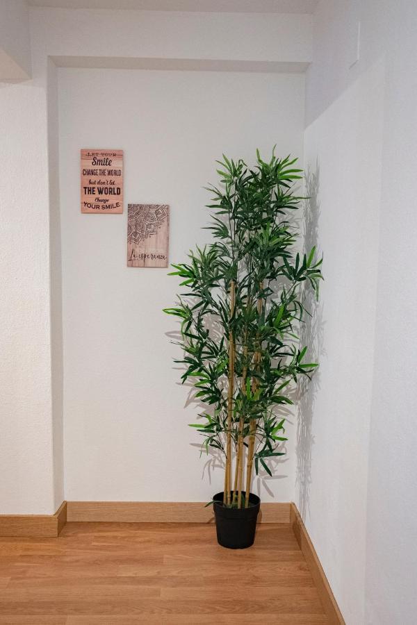 Apartmán La Casina De Leo Y Mia - Centro De Gijon 6P - Wifi - Vut-3398-As Exteriér fotografie